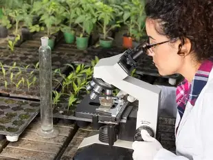 ciencias